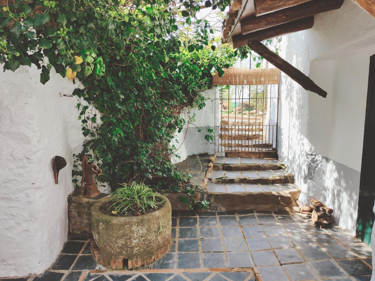 La Era De San Blas Fuentes de León エクステリア 写真